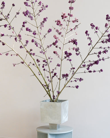 beautyberry branches fresh flowers hattie molloy ixia vase