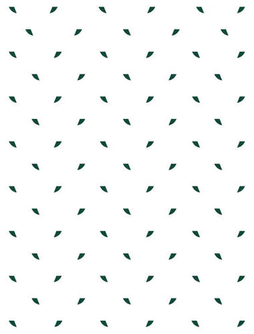 Lepismium