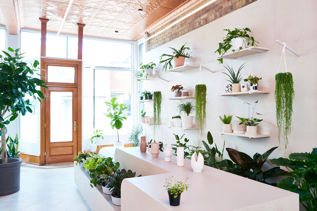 The Top 25 Flower Shops in Toronto by Neighbourhood