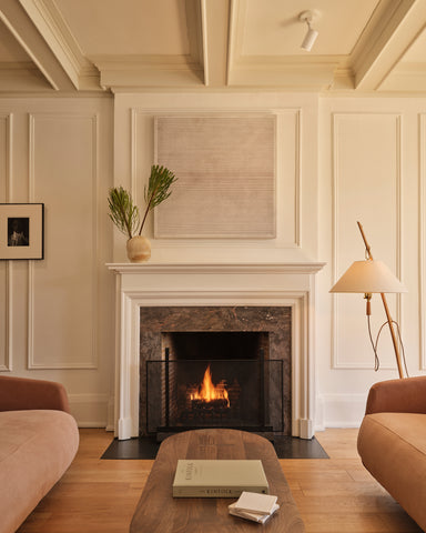 banksia hookeriana fresh flowers alison milne co. howard park riley snelling photography