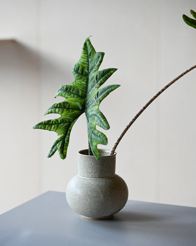 alissa coe studio boule ceramic vase 1 jade glaze fresh flowers foliage alocasia