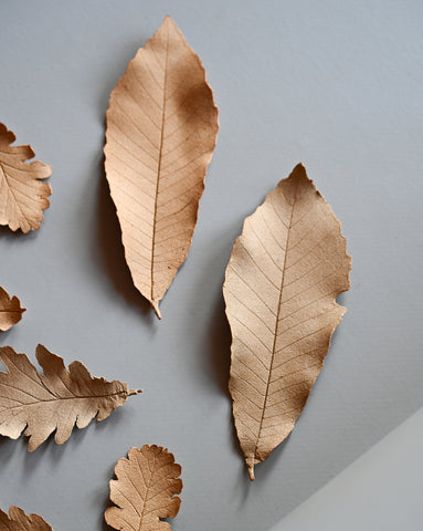 alissa coe studio chestnut leaf ceramic