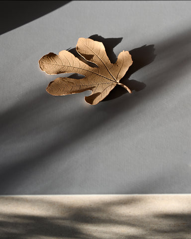 alissa coe studio fig leaf ceramic