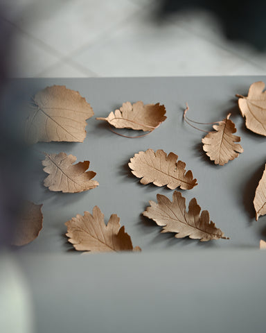 alissa coe studio oak leaves ceramic