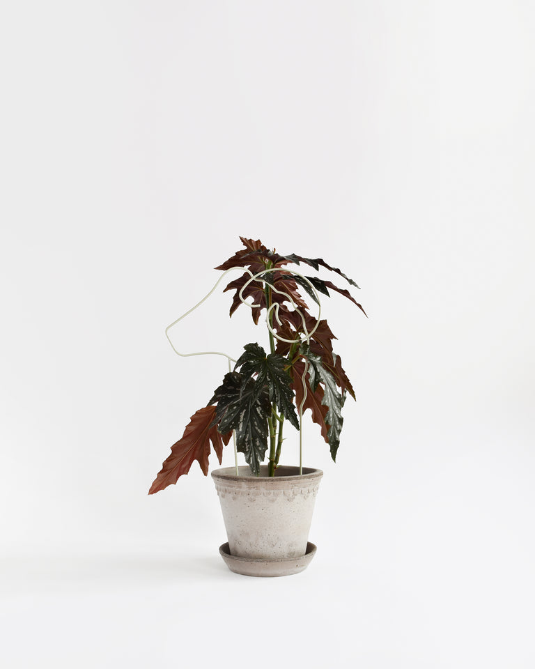 areaware plant trellis Plant Trellis / Ram – Flùr