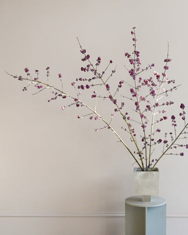 beautyberry branches