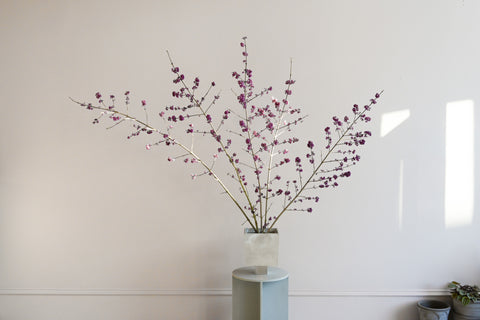 beautyberry branches hattie molloy ixia vase