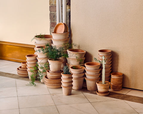 bergs potter flora planter terracotta collection