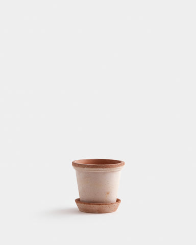 bergs potter flora planter 14 cm 5" rose terracotta