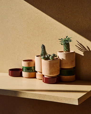 bergs potter hoff planter 8cm 3" terracotta rose plants