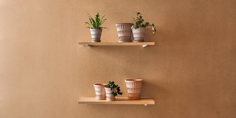 bergs potter pantheon planter collections  terracotta rose grey