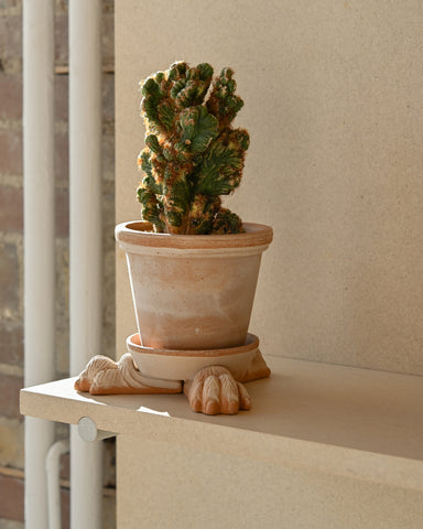 bergs potter planter supports risers paws terracotta rose cactus