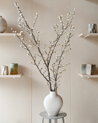 cherry branches sakura flowering fresh flowers