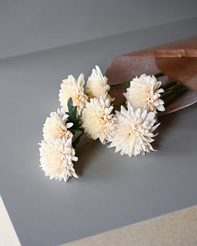 chrysanthemum local disbud champagne fresh flowers bunch