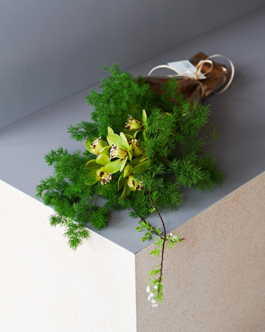 cymbidium orchid mini french mustard green fresh flowers