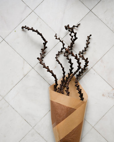 dried flowers buriti palm bunch