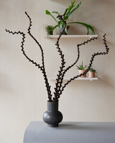 dried buriti palm inflorescence alissa coe studio ceramic vase boule b3 bronze