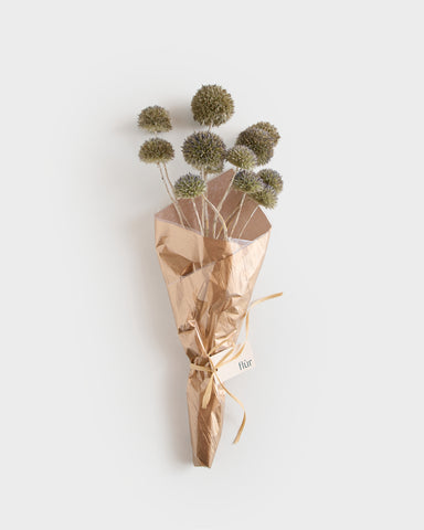 dried flowers bunch giant globe thistle echinops