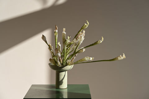 dried flowers custom arrangement cobra-lilies alissa coe studio ceramic vase