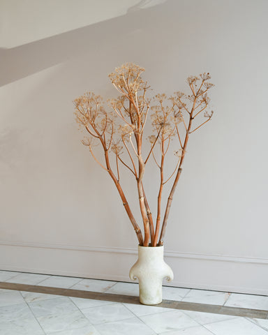 dried giant wild fennel clam lab ceramic vase