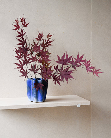 dried japanese maple branches in clam lab ceramic vase