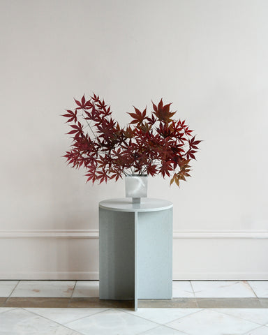 dried japanese maple branches in ixia vase by hattie molloy