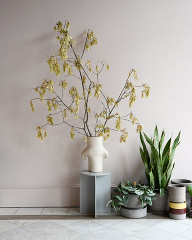 dried maple branches with seed pods only clam lab ceramic vase