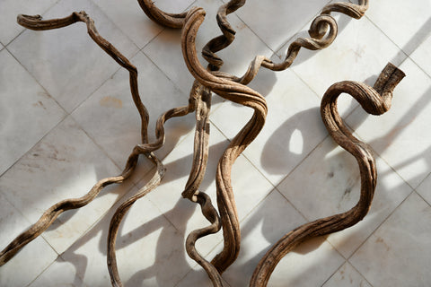 dried flowers rosca cipo vine