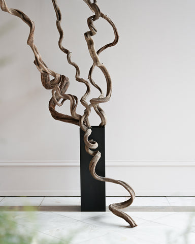 dried rosca vine ashley botten design potter vessel large