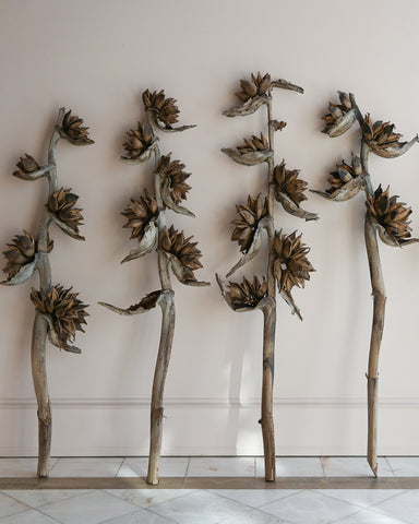 dried flowers south american traveller