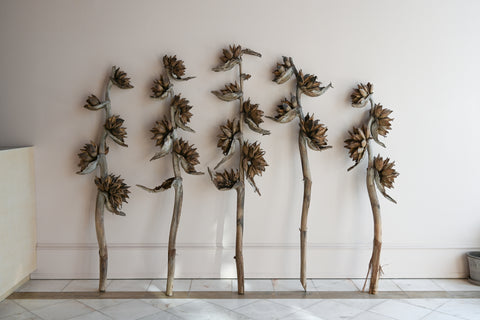 dried flowers south american traveller's palm large botanicals