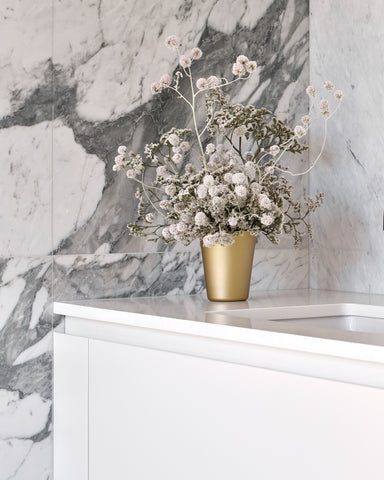 dried flowers bunch cotton bush ptilotus obovatus riley snelling photography