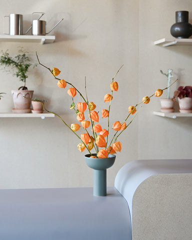 dried chinese lantern physalis alkekengi flowers blomus miyabi vase 
