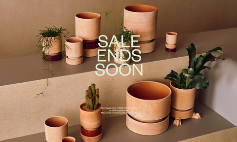 sale bergs potter terracotta planters rose hoff