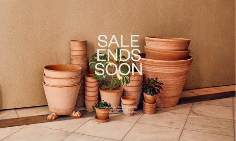 sale bergs potter terracotta planters rose julie