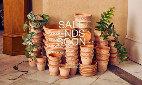 sale bergs potter terracotta planters rose kobenhavner copenhagen