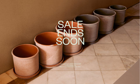 sale bergs potter terracotta planters rose grey modena