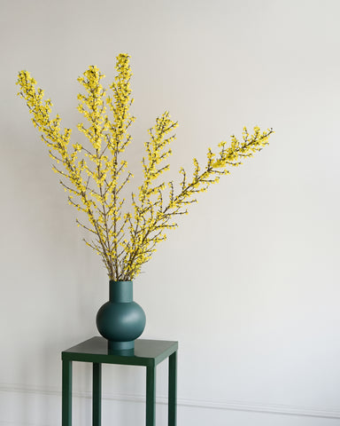 forsythia branches fresh flowers raawii strom vase xl