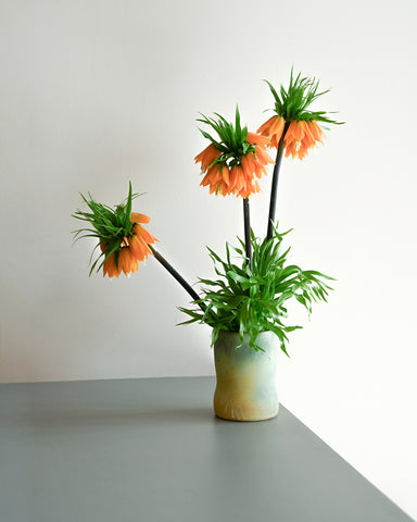 fritillaria imperialis orange fresh flowers