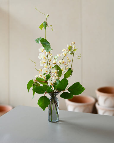 gather vase d solo grey glass fresh flowers
