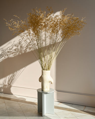 dried flowers golden oats stipa gigantea clam lab ceramic vase