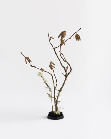 hanakatsu kenzan flower frog 104 black birch branches