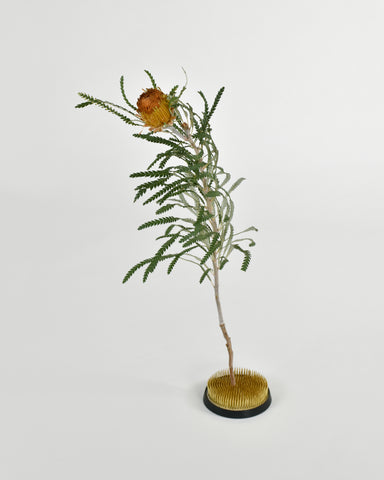 hanakatsu kenzan flower frog 602 banksia