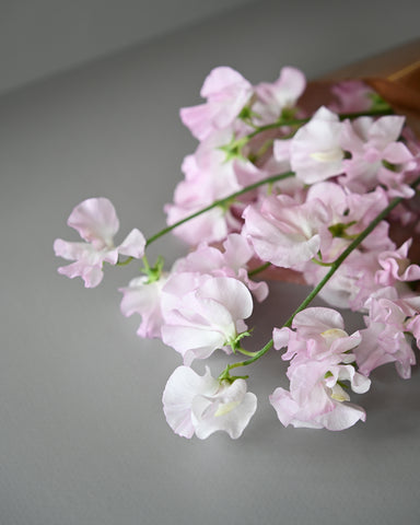 blush lathyrus sweet peas fresh flowers bunch