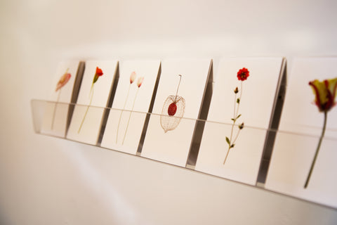 matthijs heins postcards group shelf red