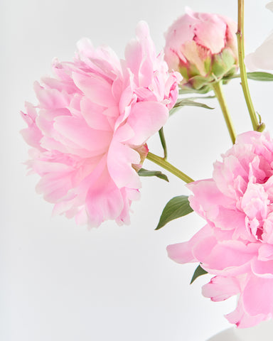 raawii strom ceramic vase large pink peonies fresh flowers