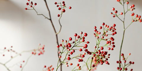red rose hip branches fresh flowers
