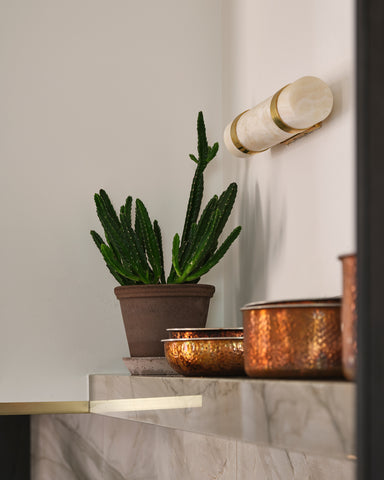 roundabout studio riley snelling photography project earnbridge bergs potter flora planter grey terracotta
