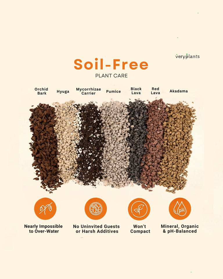 ingredients for succulent soil Molly's Succulent Mix 5.5L – Flùr