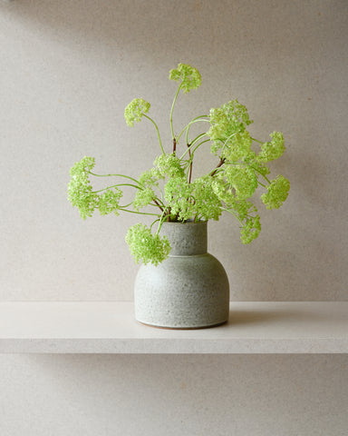 spirea grefsheim branches flowering fresh flowers alissa coe studio ceramic vase